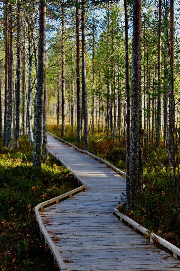 Kaetkae Lake Lodge Tervola Eksteriør billede